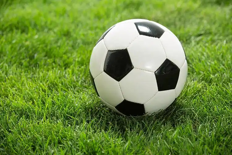 业余爱好者学习提升场景